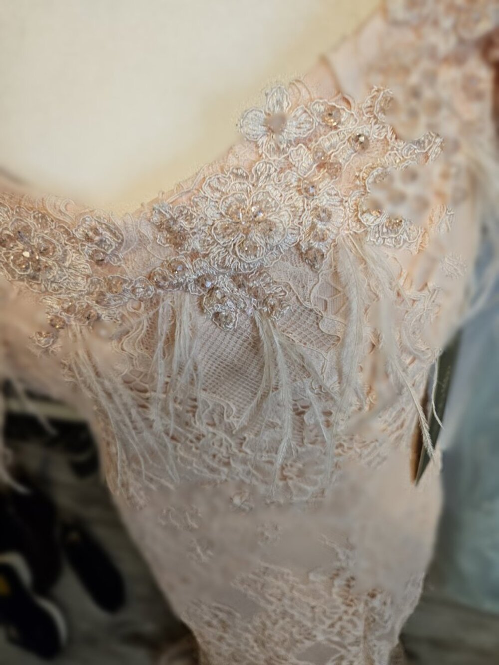 Size 10 Odrella 5860 Powder Champagne Lace Mermaid Gown Beaded Feather Trim NWT